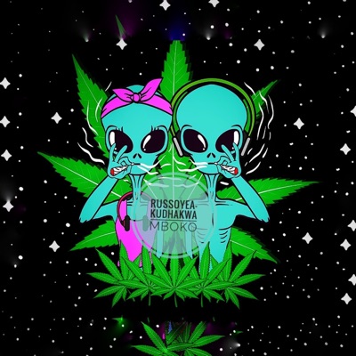 Kudhakwa Mboko - Single