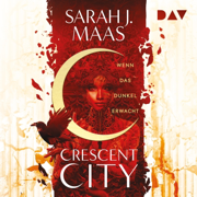 Wenn das Dunkel erwacht: Crescent City 1