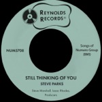 Steve Parks & Steve Marshall - Still Thinking of You