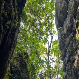 Row (feat. Vizcor) CATVLYST