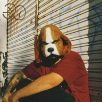 Total 90 - Single - Beagle Bonnie & DJ Noé