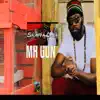 Mr. Gun