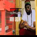 Mr. Gun