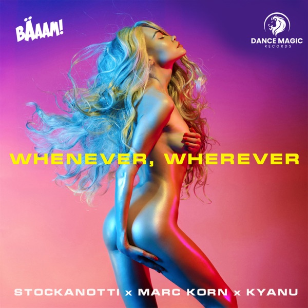 Whenever, Wherever - Single