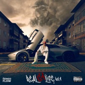 RealG4Life Vol. 4 artwork