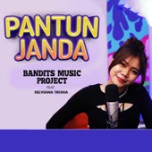 Pantun Janda (feat. Selviana Trisha) [Cover] artwork