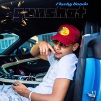 Gunshot - Single - Flashy hundo