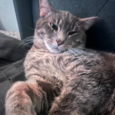 All I Wna See Is Red - Single