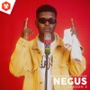 Negus On Freestyle Section S05 (feat. Negus) - Single