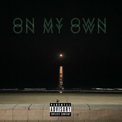 On My Own (feat. Gordo Cachedro, Steven R. & iGuess) - Single