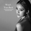 Won't Turn Back - Single