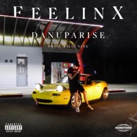 Feelinx - Single - DANU PARISE