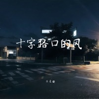 十字路口的风 - Single - Xingjie Su