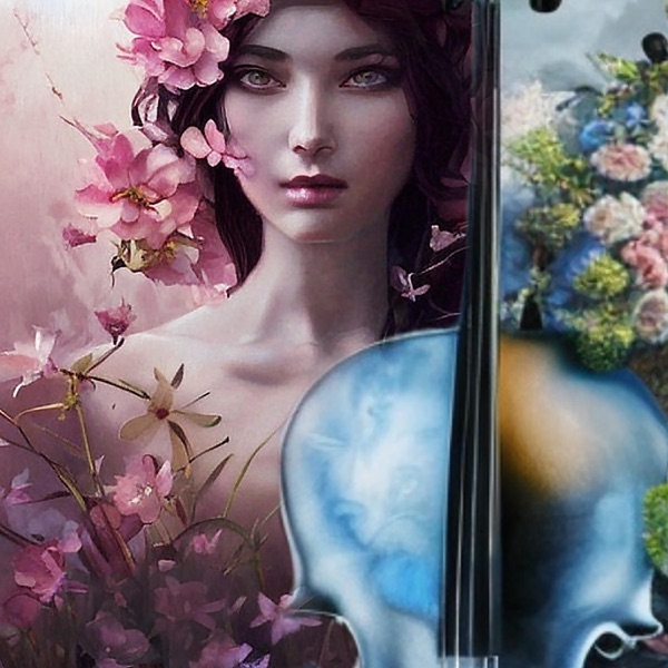 The Miracle Cello Tone