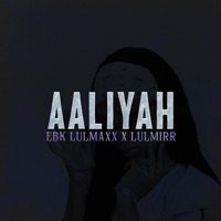 Aaliyah (feat. LulMirr) - Single - EBK LulMaxx