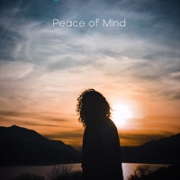Peace of Mind - Single - John Pattern & Equanimous