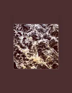 Dog And Fox을(를) 듣고, 뮤직 비디오를 보고, 약력을 읽고, 투어 일정 등을 확인하세요!