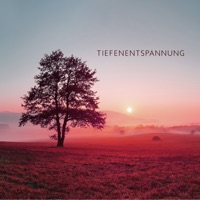 Tiefenentspannung - Einschlafen Akademie, Tiefenentspannung Akademie & Guten Schlafen Akademie