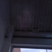 SANGUE DI POLLOCK (feat. DisaJohnny & PSICHIATRI.TS) [Remix] - Single - XANNYxLIFE