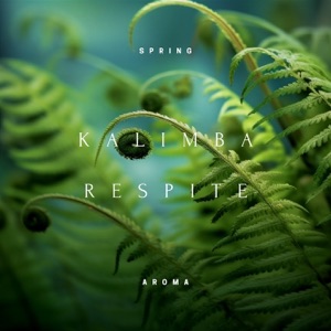 Kalimba Respite: Enchanted Forest Sounds for Unwinding