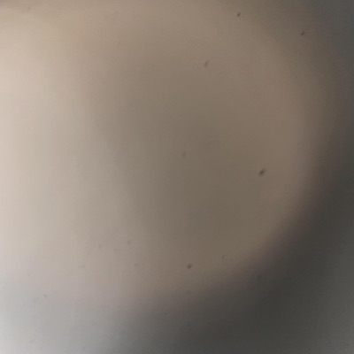 Cold Nights (219/517 Monologue) - Single