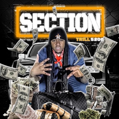 Section - Single