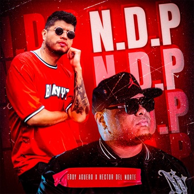 N.D.P - Single