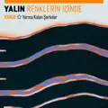 Renklerin İçinde