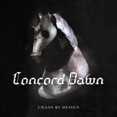 Chaos by Design artwork