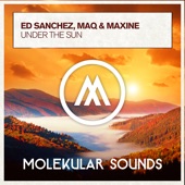 Under the Sun (Extended Mix) artwork