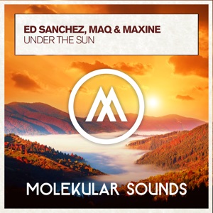 Under the Sun - Single