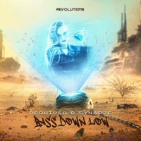 Bass Down Low - Single - Required & Synapze