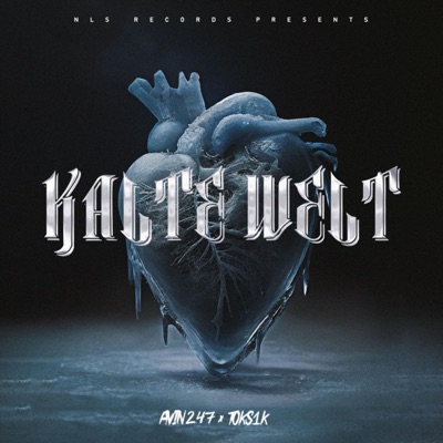 Kalte Welt (feat. Toks1k) - Single