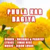 Stream & download Phula Kar Bagiya - Single