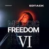 Melodic Freedom VI - Single