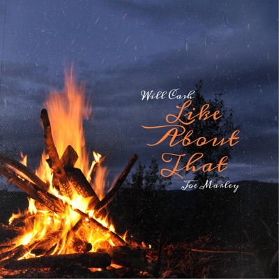 Like About That (Radio Edit) [Radio Edit] - Single