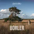 Borler
