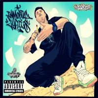 Inmortal Lyrics - Bisacki