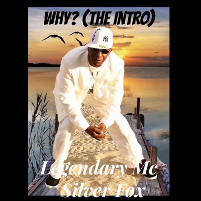WHY? (The Intro.) - Single