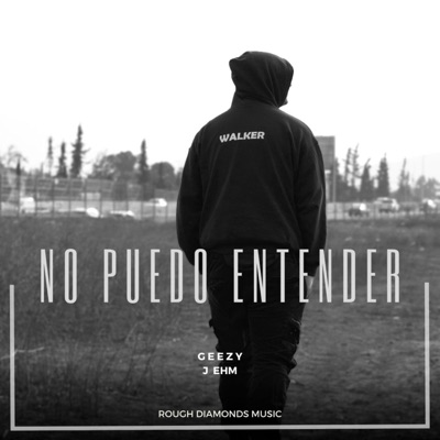 No Puedo Entender (feat. J Ehm) - Single