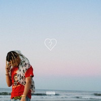 WHERE THE LOVE GO? - Single - CamilosGarden