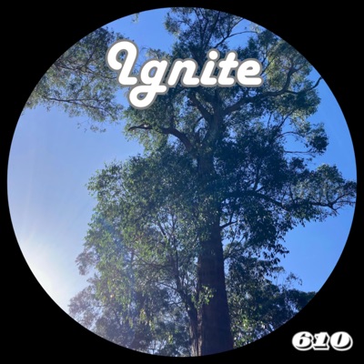 Ignite - Single
