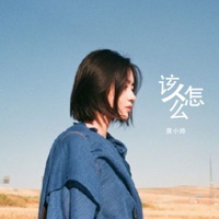 该怎么 - Single - 黄小帅