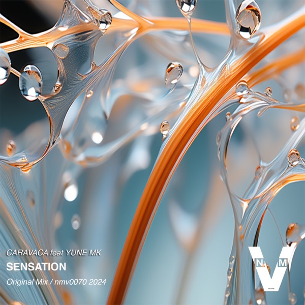 Sensation - Single
