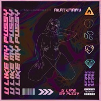 U Like My P***y - Single - Akatumamy