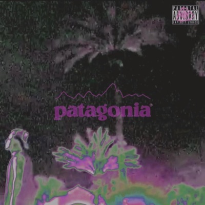 PATAGONiA (feat. BANDS1MILLION) - Single