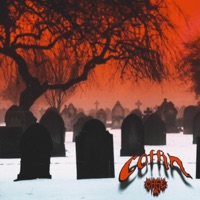 Coffin - Single - Mase