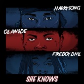 Harrysong - She Knows (feat. Fireboy DML & Olamide)