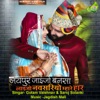 Jaypur Jaijo Banasa Laijo Navsariyo Mhare Har - Single