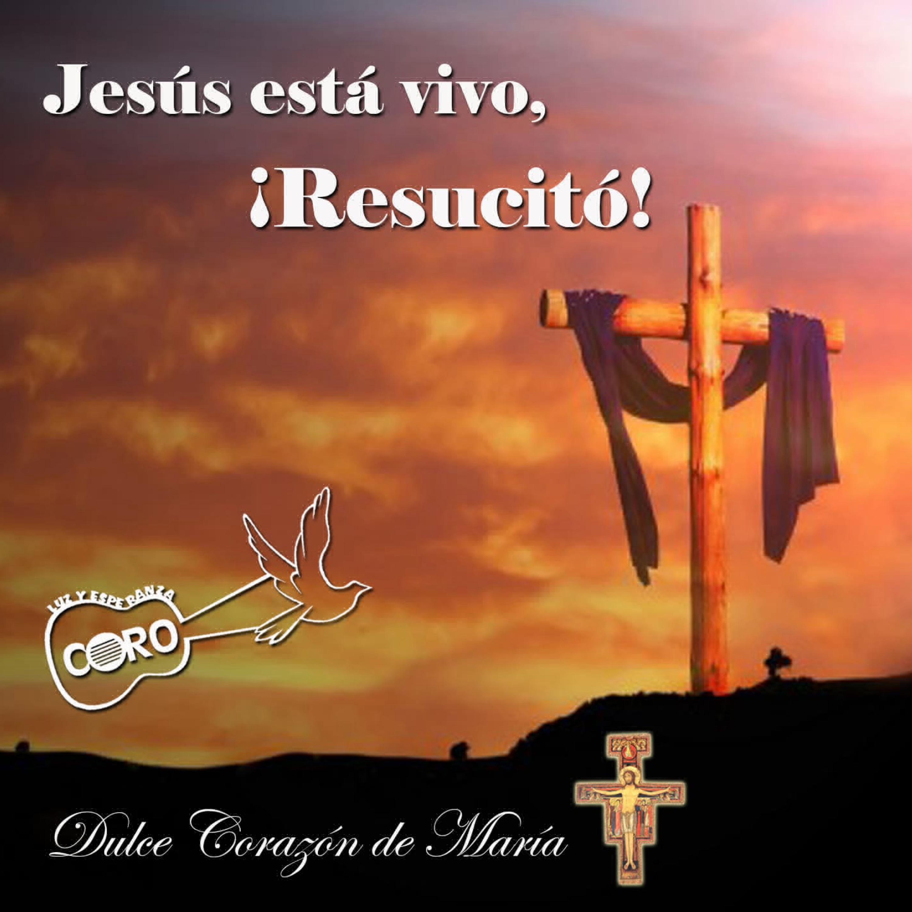 Resucitó